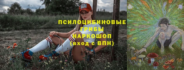 ПСИЛОЦИБИНОВЫЕ ГРИБЫ Волосово