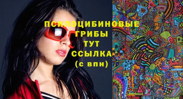 ПСИЛОЦИБИНОВЫЕ ГРИБЫ Волосово