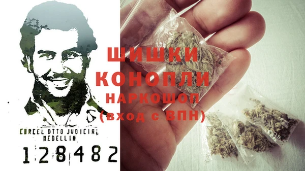 ПСИЛОЦИБИНОВЫЕ ГРИБЫ Волосово