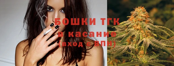 spice Горняк