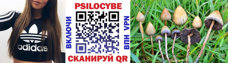 Псилоцибиновые грибы ЛСД  Заволжск 